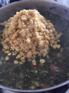 20160410_220815963_iOS