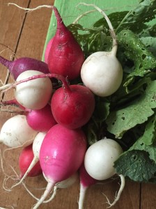 20160614_141640519_iOS