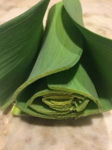 20161213_044334141_ios